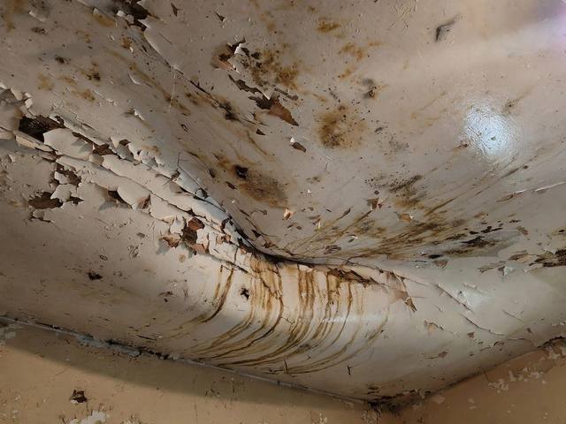 Ceiling Water Damage Repair before photo Naples FL illustrative example