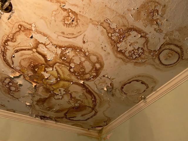 Ceiling Water Damage Repair before photo Naples FL illustrative example