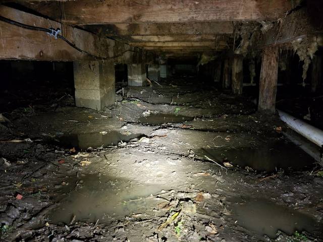 Crawl Space Restoration before photo Naples FL illustrative example