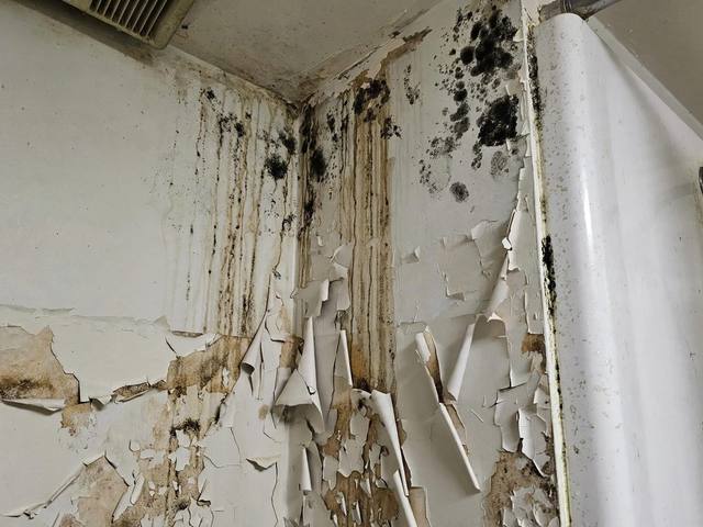 Mold Remediation before photo Naples FL illustrative example