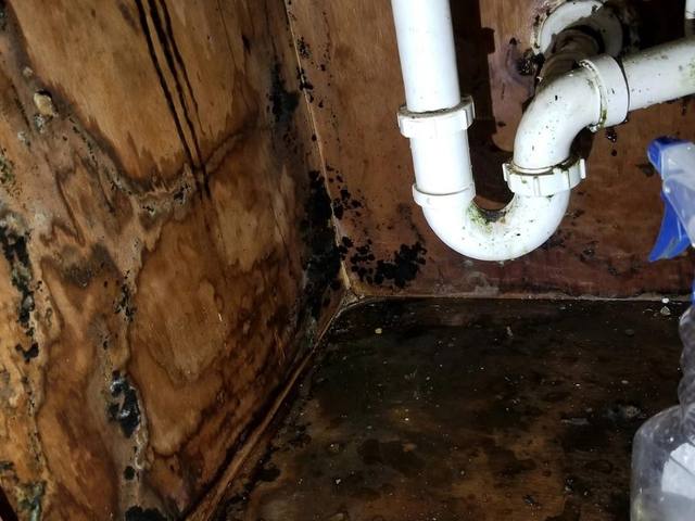 Mold Remediation before photo Naples FL illustrative example