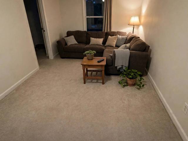 Structural Drying & Mitigation after photo Naples FL illustrative example
